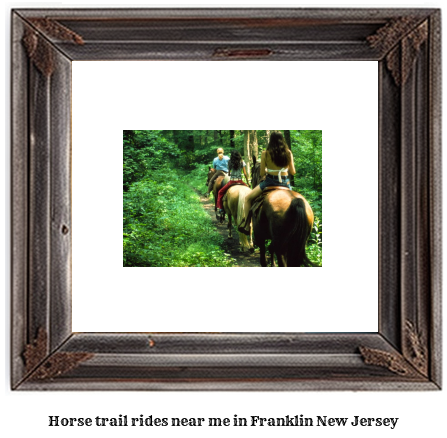 horse trail rides near me in Franklin, New Jersey